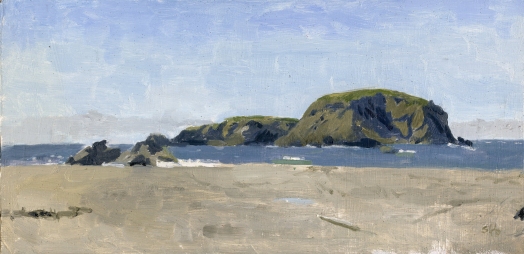 Whaleshead, Brookings, Oregon Oil Painting by Sarah F Burns